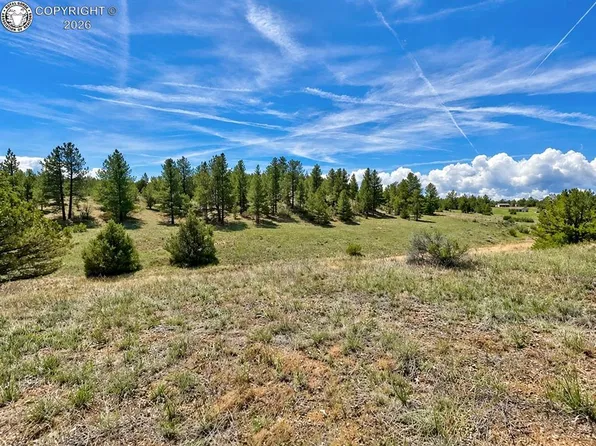 103 Cheyenne Ct, Cotopaxi, CO 81223