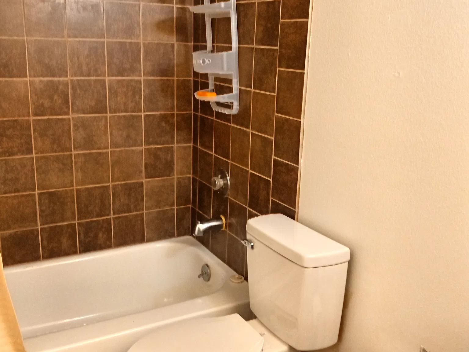 1 bed, 900 sqft, $1,000 — Photo 3