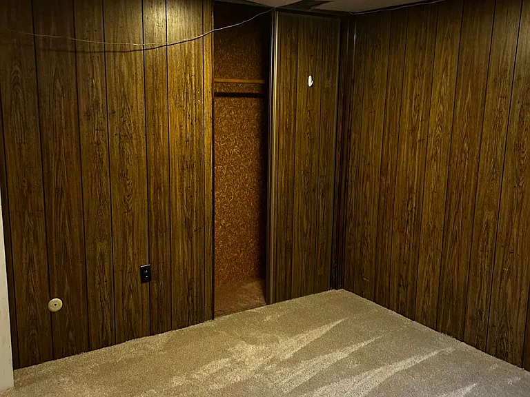 basement bedroom with closet
