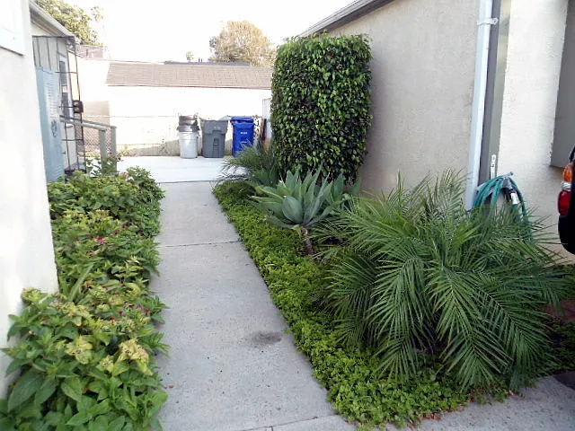 800 Paradise Dr — Photo 11