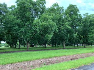 46 McGinty Dr, Chula, GA 31733