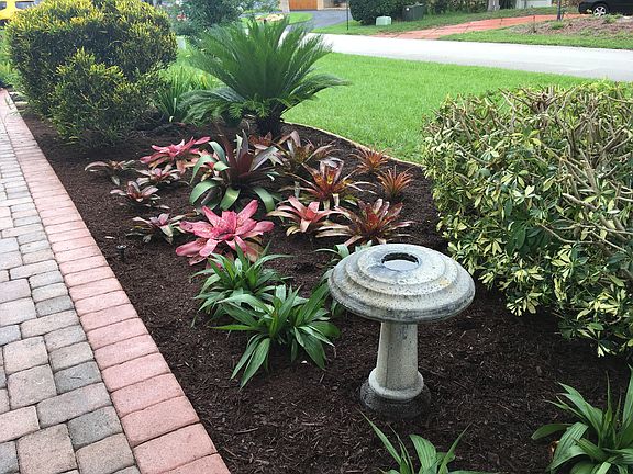 Bromeliad entry garden