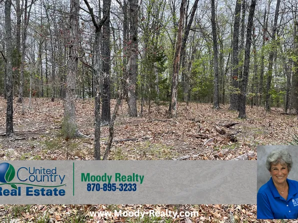 1323 Hummingbird Ln, Horseshoe Bend, AR 72512