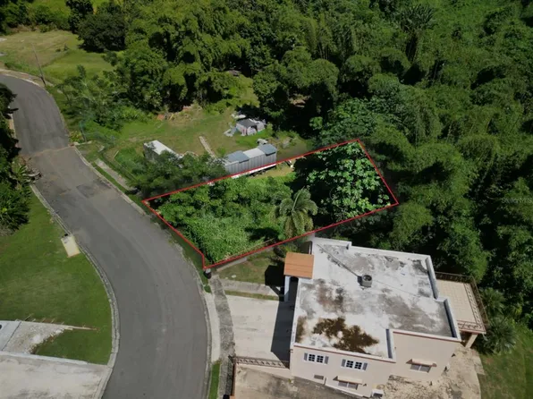 Solar 5 Barrio Miradero Calle Monte Sinai, Mayaguez, PR 00681