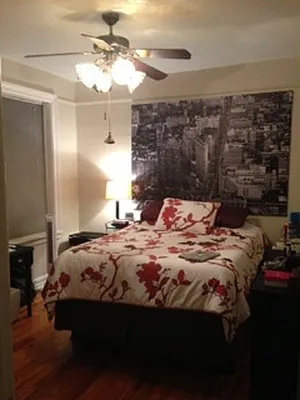 Rented by Manhattan Flats | media 5