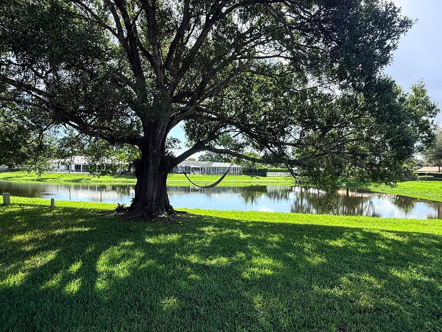 3 bed, 2.0 bath, 2056 sqft, $4,500 — Photo 3