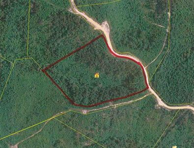 Ross Creek Ridge Rd, Clifton, TN, 38425