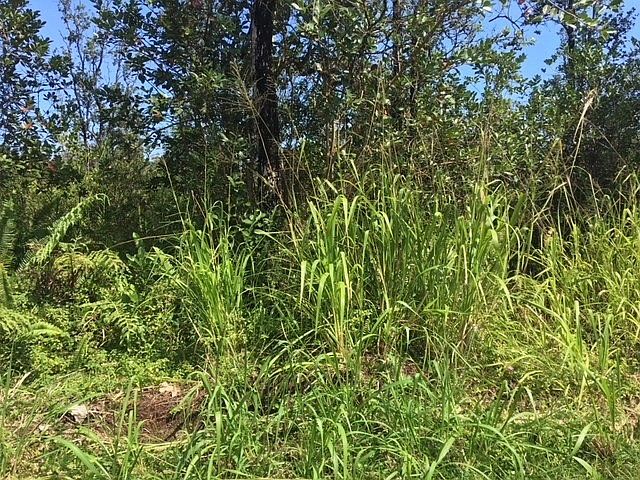 1st image of 34th Ave Lot 8