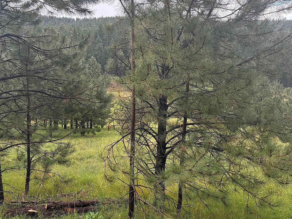 1st image of Trading Post Rd #1