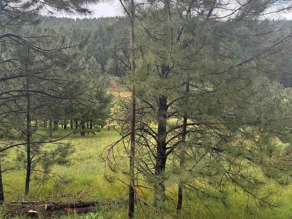 Trading Post Rd #1, Cloudcroft, NM 88317