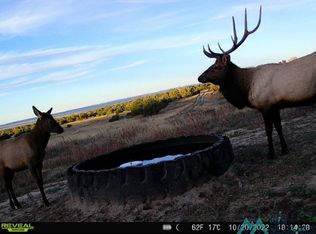 Eagle Mesa Rd, Fence Lake, NM 87315