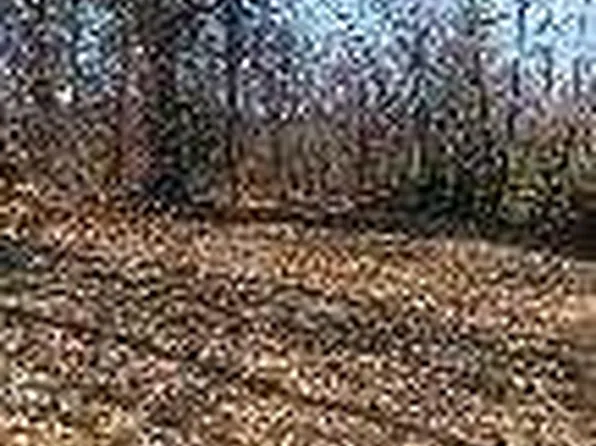 Lot 6 Bray Ridge Road, Hiram, ME 04041