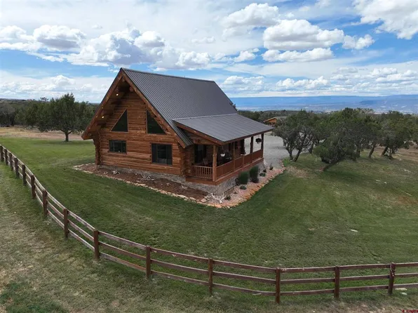 78114 Basalt Road, Crawford, CO 81415