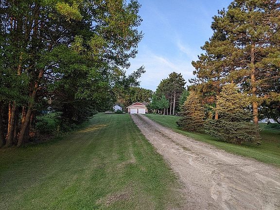 View of pine tree-lined drive