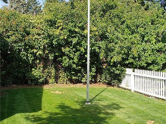 Front yard of home with lilacs lining the west side of the lot. 