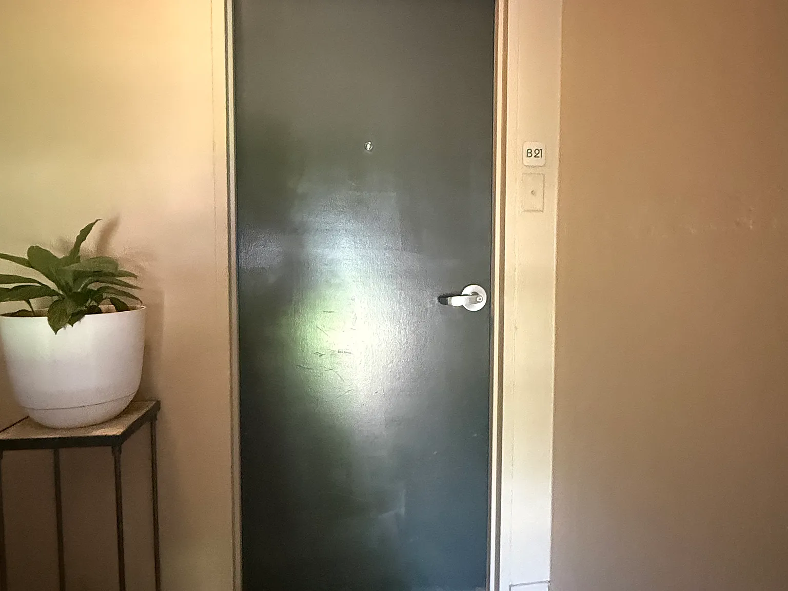 1 bed, 524 sqft, $950 — Photo 1