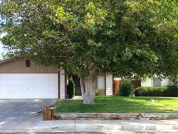 SPRING/SUMMER Season.
Front yard Tree in full bloom during spring/summer.