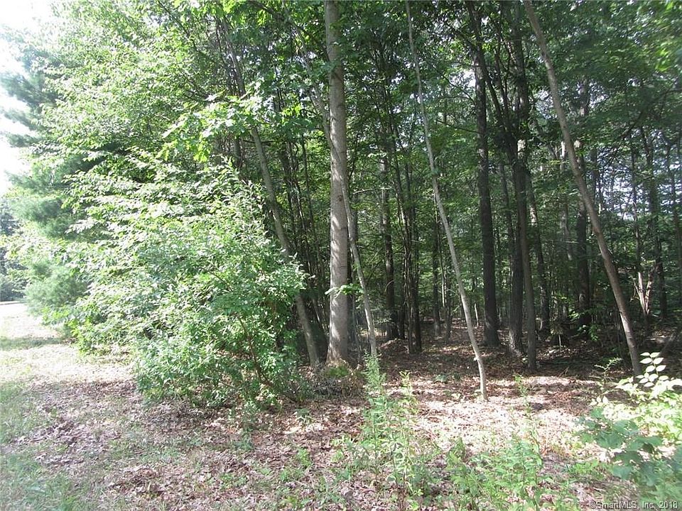 2nd image of 10 Jenny Ln