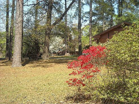 3rd image of 5385 Haywood Dr