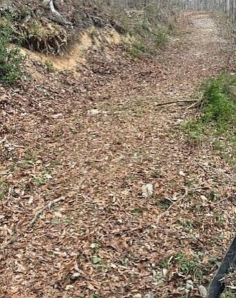 3rd image of Sulphur Springs Rd