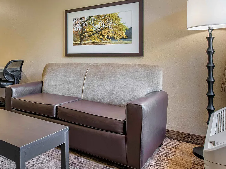 1 Bedroom Suite - 1 King Bed