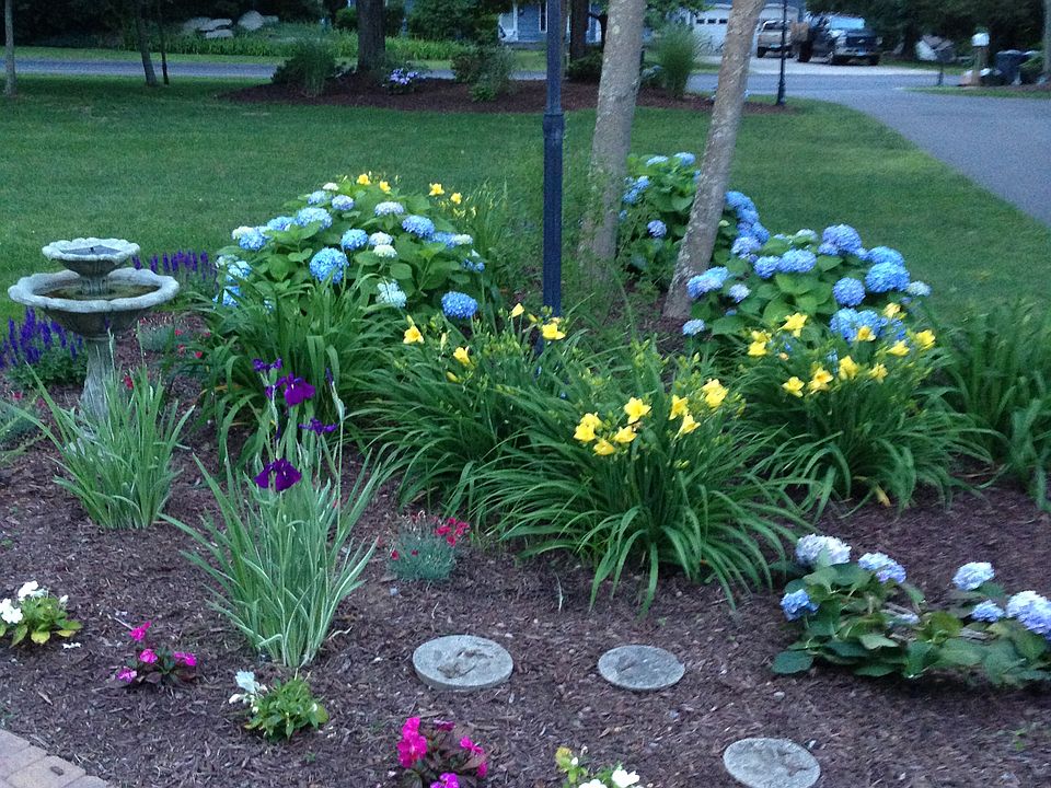 Professional landscaping