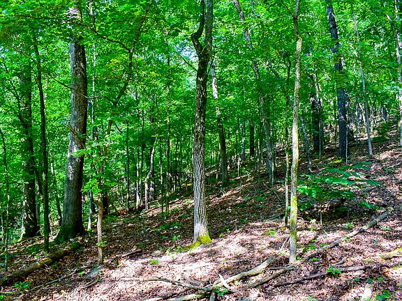 2nd image of 000 Autumn Estates Subdivision Lots 26-27