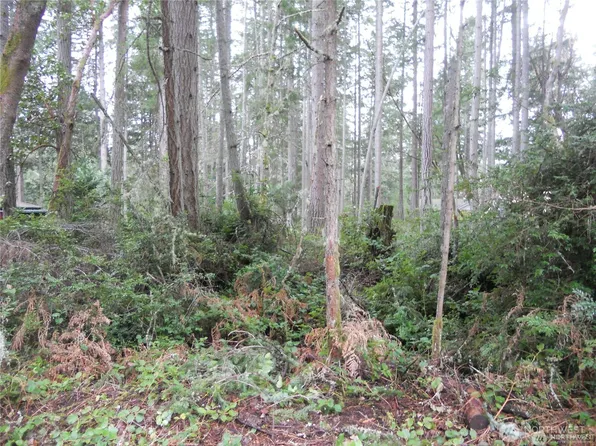 10424 107th Avenue Ct, Anderson Island, WA 98303