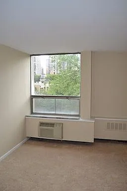 1455 N Sandburg Ter #308 — Photo 9