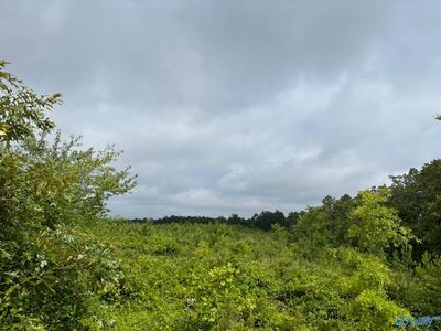 TRACT 4 Tom Cat Rd, Gadsden, AL, 35903