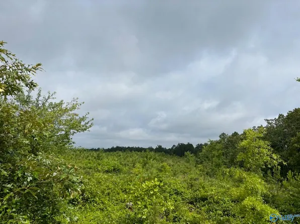 TRACT 4 Tom Cat Rd, Gadsden, AL 35903