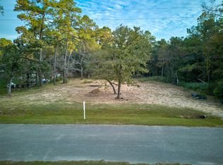 17910 Sea Turtle Ct, Magnolia, TX 77355