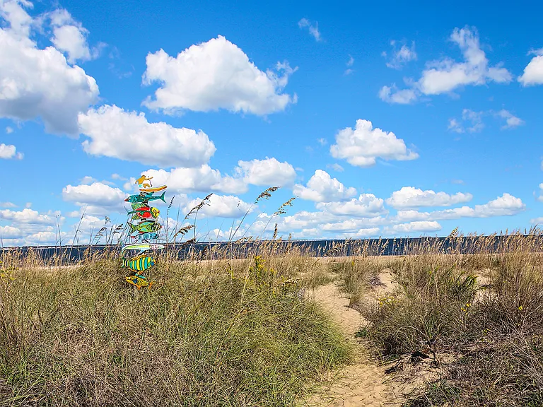 Pathway to Chesapeake Bay