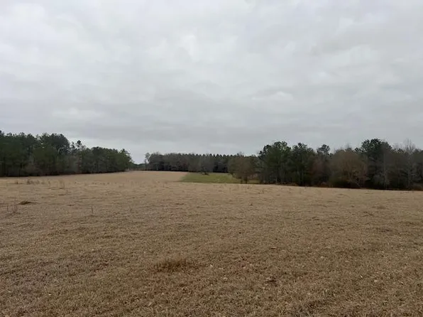 0 Raiford Trl SE, Ruth, MS 39662