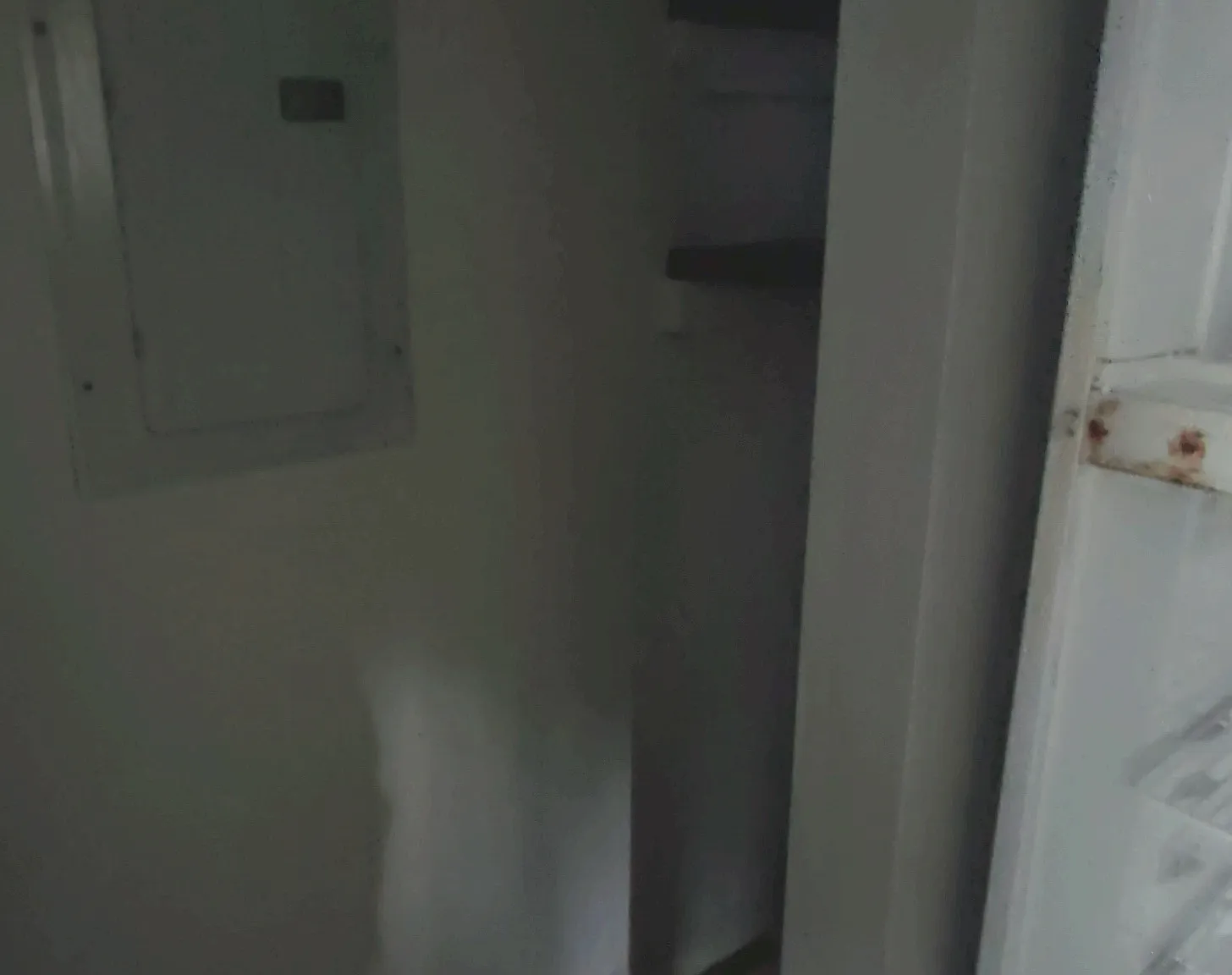 2 bed, 900 sqft, $900 — Photo 2