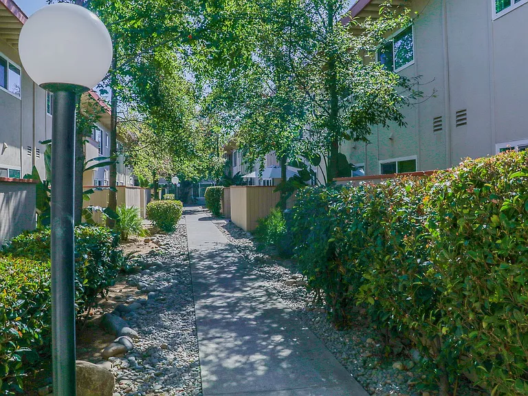 Lush landscaping, alley