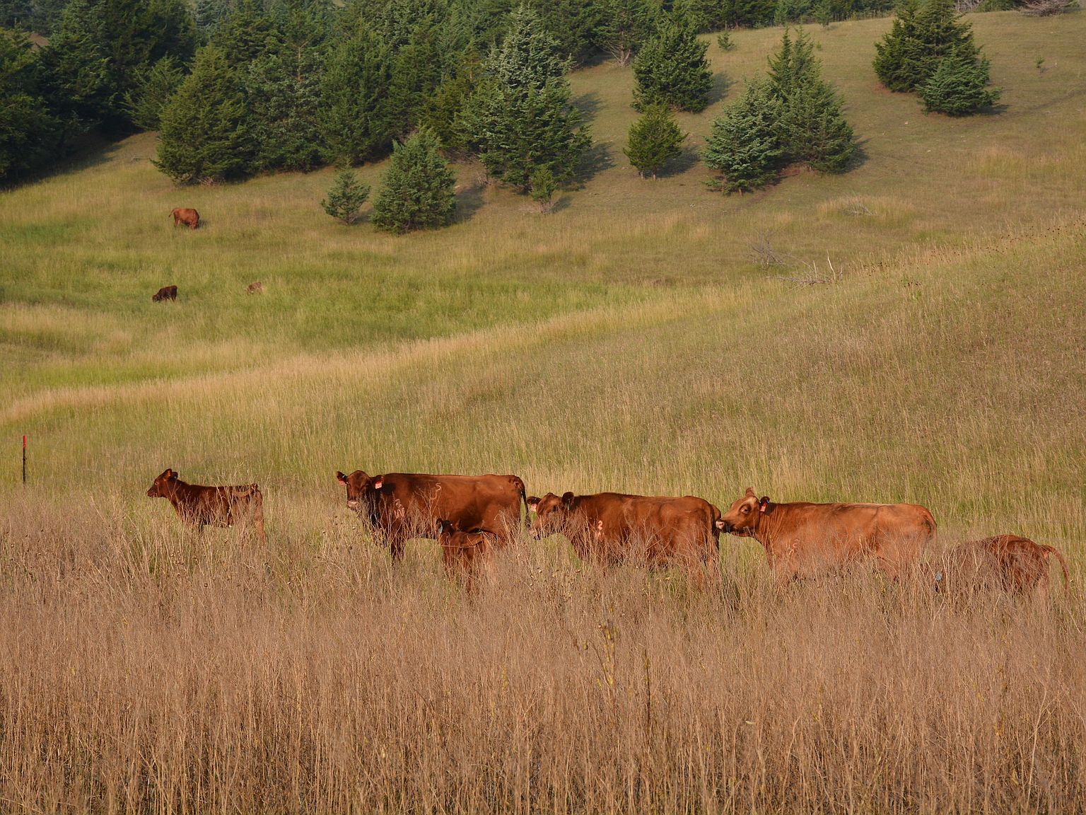 Bluff Rd LOT WP004, Volin, SD 57072 Zillow