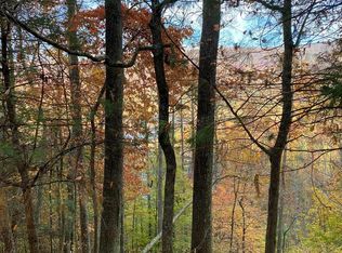 175 Canaan Rd, Butler, TN 37640