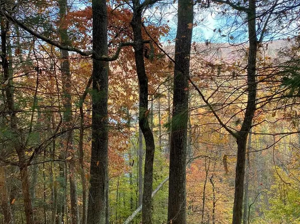 175 Canaan Rd, Butler, TN 37640
