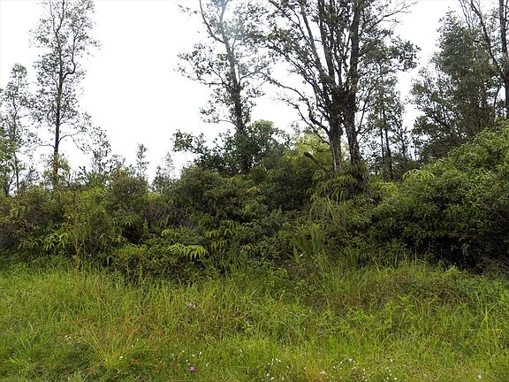 3rd image of Tradewind Dr Lot 49