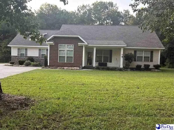 3325 James Turner Rd, Effingham, SC 29541