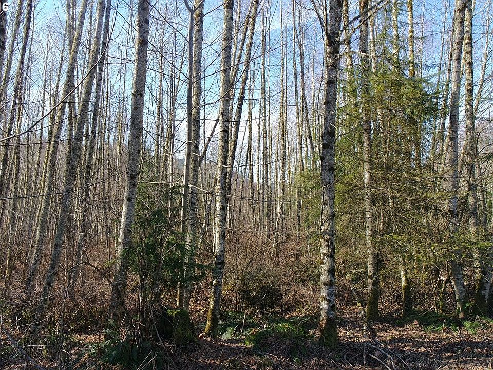 101 Sunset Rdg Mossyrock, WA, 98564 Apartments for Rent Zillow