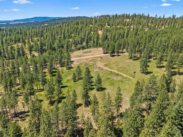 Nka E Belmont Rd, Mica, WA 99023