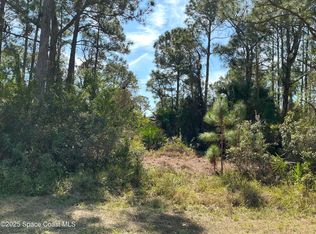 118 Hart St SW, Palm Bay, FL 32908