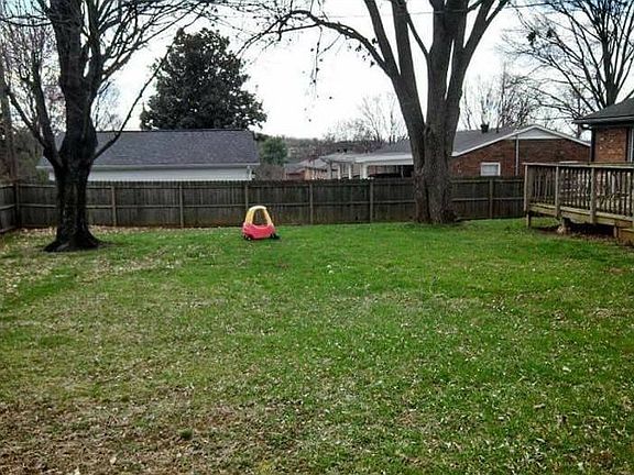 back yard