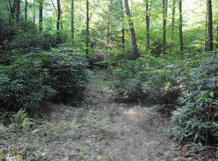 Hanging Run Rd, Belington, WV 26250