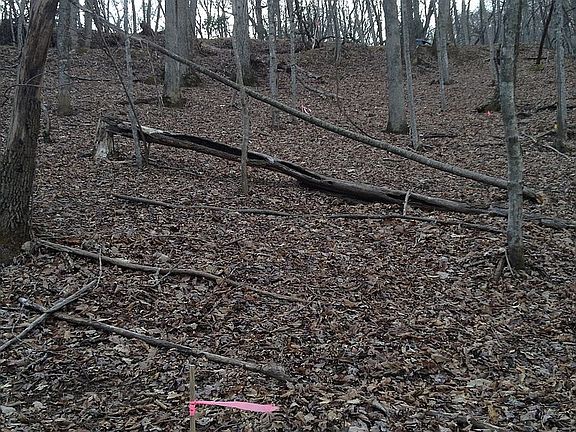 2nd image of 0 Poplar Dr
