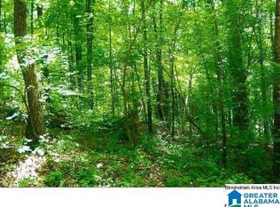 Camp Creek Rd #1, Cropwell, AL 35054