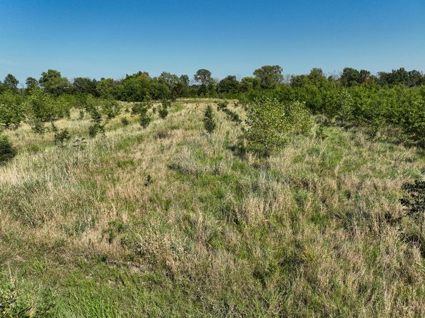 TRACT 5 E Radio Tower Ln, Clay City, IL 62824