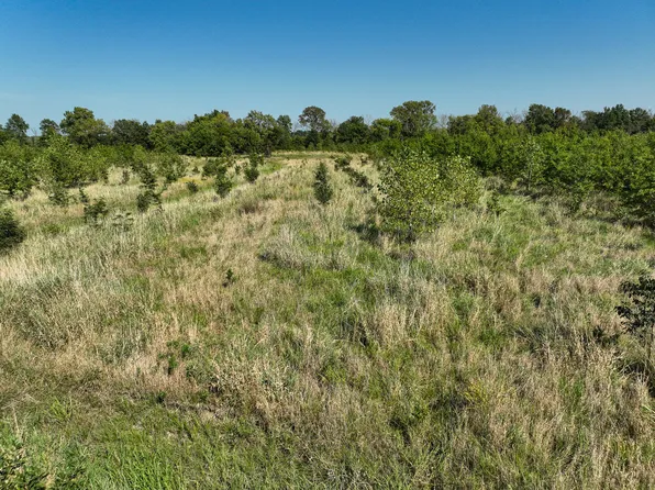 TRACT 5 E Radio Tower Ln, Clay City, IL 62824